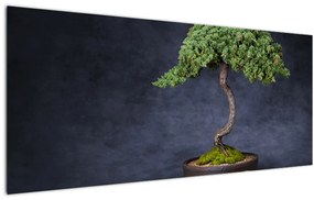 Tablou - Bonsai (120x50 cm)