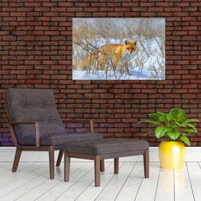 Tablou - Vulpe (90x60 cm)