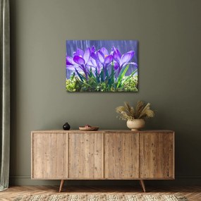Tablou cuflori în ploaie (70x50 cm)