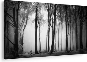Tablou - Lup în pădurea întunecată (90x60 cm)