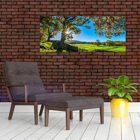 Tablou Privire la câmp (120x50 cm)