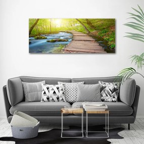 Tablou canvas Calea în pădure