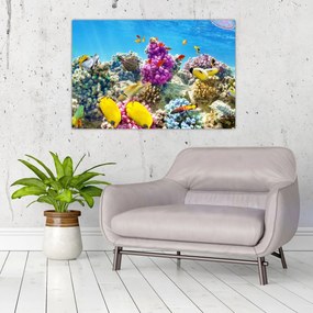 Tablou - Lumea mării (90x60 cm)