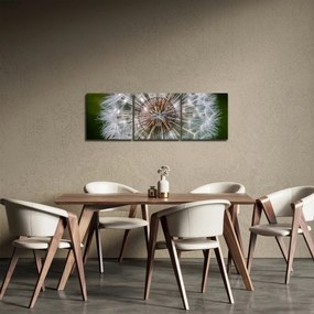 Tablou cu păpădie (cu ceas) (90x30 cm)