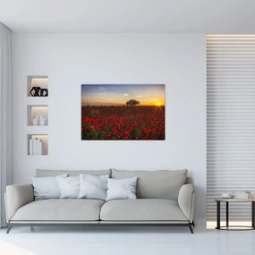Tablou cu lunca și macii (90x60 cm)