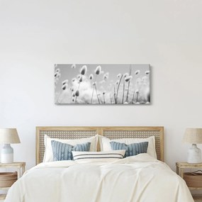 Tablou - Boho iepuraș coadă de iarbă (120x50 cm)