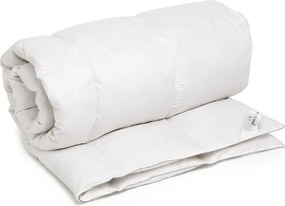 Pilotă Feeling 50 200x220 - Puf de gâscă 50%, pană mică de gâscă 50%, 250g/mp