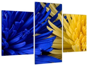 Tablou - detaliu florilor (90x60 cm)