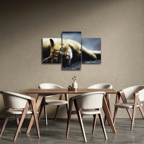 Tablou cu pisica (90x60 cm)