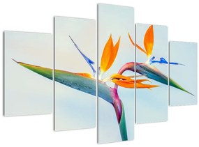 Tablou cu floarea Strelicie (150x105 cm)