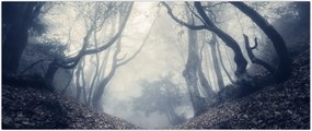 Tablou - Pădurea în ceață (120x50 cm)