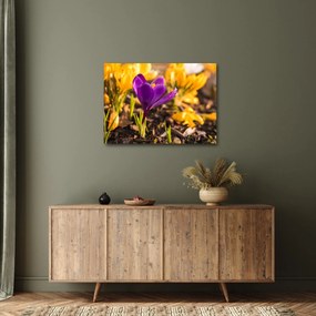 Tablou cu floare violetă (70x50 cm)