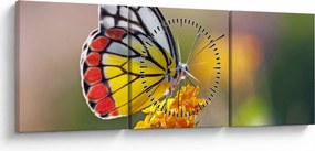 Tablou - Fluture pe floare (cu ceas) (90x30 cm)
