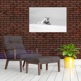 Tablou - Urs polar,alb-negru (90x60 cm)