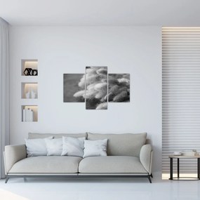 Tablou - iarbă de coadă de iepure pe masă (90x60 cm)