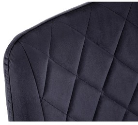 Scaun de sufragerie Sariel (Negru) (2buc). 1071280