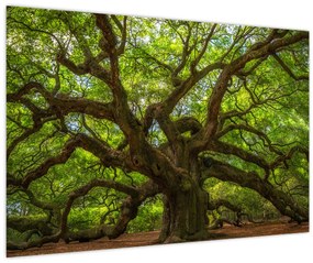 Tablou - Copac verde (90x60 cm)