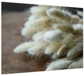 Tablou - Coadă de iepure (70x50 cm)