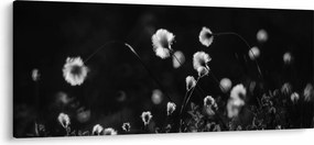 Tablou - Pajiște cu iarbă de cozonac N⁰1 (120x50 cm)