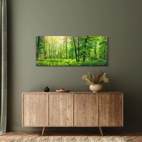 Tablou - Pădurea cu frunze de primăvară (120x50 cm)