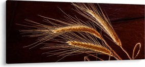 Tablou - Spic în prim plan (120x50 cm)