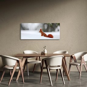 Tablou - Vevetițe (120x50 cm)