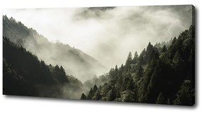 Tablou pe pânză canvas Ceață peste pădure