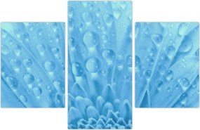 Tablou - Macro împușcat de o floare (90x60 cm)