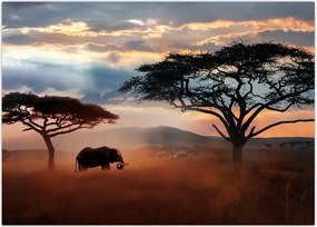 Tablou - Parcul Național Serengeti, Tanzania, Africa (70x50 cm)