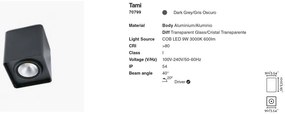 Spot aplicat / Plafoniera LED de exterior moderna IP54 TAMI gri inchis