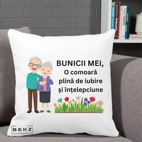 Cadou pentru Bunici - Perna Personalizata Bunicii Mei Comoara Cuplu Senior cu Flori Colorat, 40x40 cm, Alba Mata, Husa Detasabila, Perna Inclusa, BEKZ®
