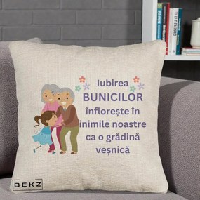 Cadou pentru Bunici - Perna Personalizata Bunicii Iubirea Infloreste Bunici cu Nepoata Colorat, 40x40 cm, Bej Canapea, Husa Detasabila, Perna Inclusa, BEKZ®