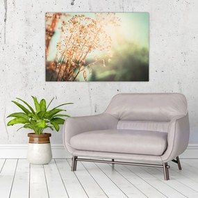 Tablou - Plante după ploaie (90x60 cm)