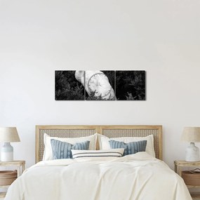 Tablou - Păun,alb-negru (cu ceas) (90x30 cm)