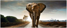 Tablou cu elefant (120x50 cm)