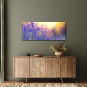 Tablou - Levănțică (120x50 cm)