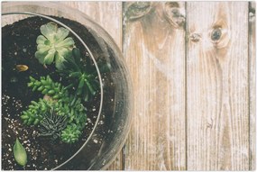 Tablou - Terariu de sticlă (90x60 cm)