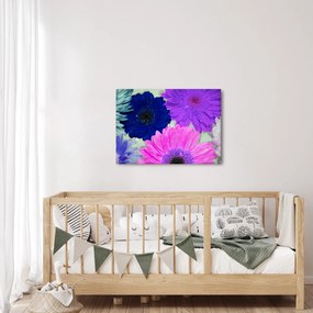 Tablou cu flori colorate (70x50 cm)
