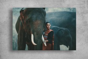 Tablouri Canvas Animale - Frumoasa si elefantii