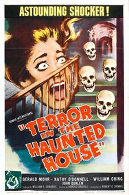 Ilustrație Terror In Haunted House