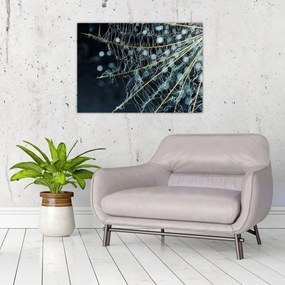 Tablou pe sticlă - Floare cu pânză de pâianjen (70x50 cm)