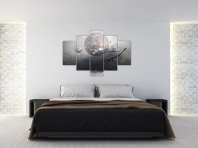 Tabloul bilelor abstracte (150x105 cm)
