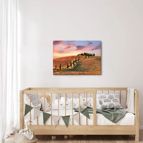Tablou - Casa pe deal Toscana, Italia (70x50 cm)