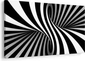 Tablou abstract cu dungi de zebră (90x60 cm)