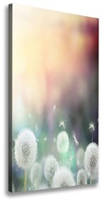 Print pe canvas Păpădia