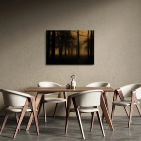 Tablou pe sticlă - Pădurea întunecată (70x50 cm)