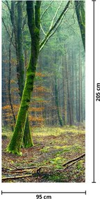 Fototapet pentru ușă - Pădurea (95x205cm)