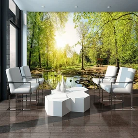 Fototapet - Pădurea verde (152,5x104 cm)
