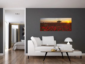 Tablou cu lunca și macii (120x50 cm)