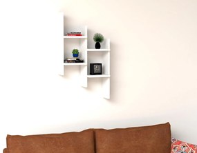 Raft Darma (Alb). 1088210